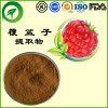 覆盆子提取物，厂家直供纯天然植物提取物，比例提取物，果蔬粉