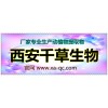桂枝浓缩粉