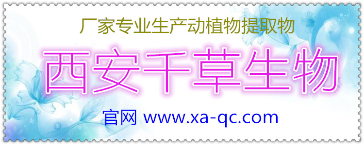 官网12