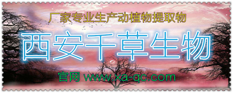 官网23