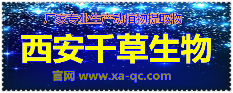 官网9
