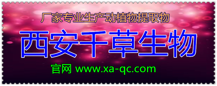 官网6