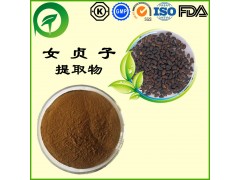 女贞子提取物，厂家直供纯天然植物提取物，比例提取物，果蔬粉