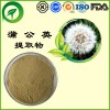 蒲公英提取物，厂家直供纯天然植物提取物，比例提取物，果蔬粉