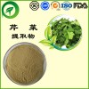 芹菜提取物，厂家直供纯天然植物提取物，比例提取物，果蔬粉