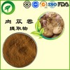 肉苁蓉提取物，厂家直供纯天然植物提取物，比例提取物，果蔬粉