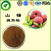 山楂提取物，厂家直供纯天然植物提取物，比例提取物，果蔬粉