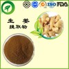 生姜提取物，厂家直供纯天然植物提取物，比例提取物，果蔬粉