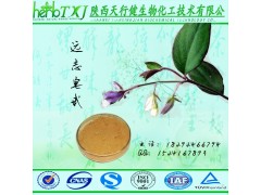 远志提取物 远志皂甙8% 陕西天行健26年老厂直供 质优价廉