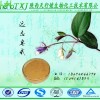远志提取物 远志皂甙8% 陕西天行健26年老厂直供 质优价廉