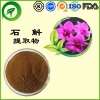 石斛提取物，铁皮石斛，厂家直供纯天然植物提取物，比例提取物，果蔬粉