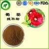 蜀葵提取物，厂家直供纯天然植物提取物，比例提取物，果蔬粉
