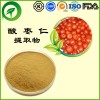 酸枣仁提取物，厂家直供纯天然植物提取物，比例提取物，果蔬粉