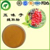五味子提取物，五味子甲素，总素，厂家直供纯天然植物提取物，比例提取物，果蔬粉