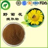 野菊花提取物，厂家直供纯天然植物提取物，比例提取物，果蔬粉