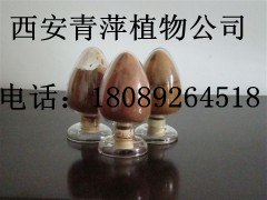 苹果提取物   苹果粉 规格4:1