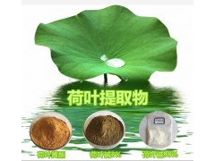 荷叶提取物 荷叶碱98% 西安锐博自主研发生产