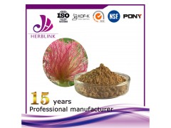 玉米须提取物 工厂供应