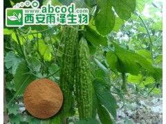 苦瓜提取物