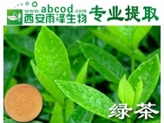 绿茶提取物