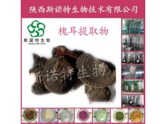 槐耳提取物斯诺特厂家直销