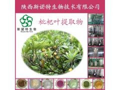 枇杷叶提取物粉10化痰止咳平喘类提取物斯诺特厂家直销