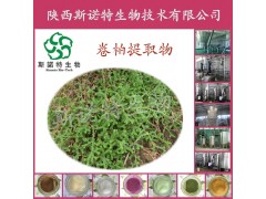 卷柏提取物粉10活血化瘀斯诺特生物厂家直供