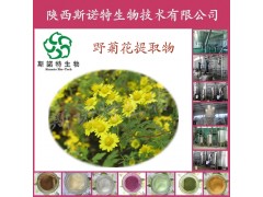 野菊花提取物粉清热解毒斯诺特生物厂家直供