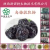 乌梅提取物粉收涩类提取物斯诺特生物厂家直供