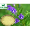 黄芩提取物