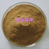 蛹虫草提取物