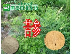 苦参提取物
