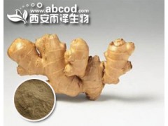 生姜提取物