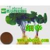 细辛提取物