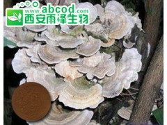 云芝提取物