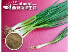 葱白提取物