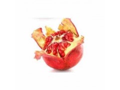 石榴皮提取物