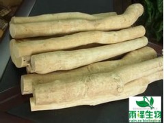 东哥阿里提取物