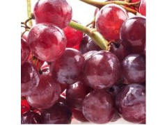 红葡萄果粉