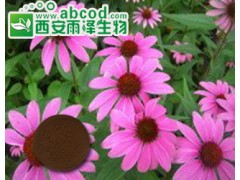 紫锥菊提取物