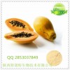 木瓜蛋白酶 木瓜酵素粉 排毒养颜 高品质木瓜酵素
