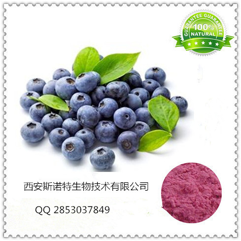 蓝莓酵素粉 纯天然蓝莓酵素 可定制各种水果酵素粉