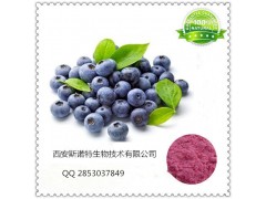 蓝莓酵素粉 纯天然蓝莓酵素 可定制各种水果酵素粉
