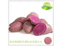 紫薯粉 天然无添加无色素 100%水溶紫薯粉 固体饮料