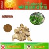 白芨提取物