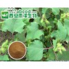 苍耳提取物