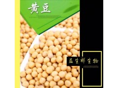 黄豆粉 益生祥厂家供应 现货包邮