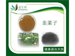 韭菜子提取物  厂家直销 量大从优 现货包邮