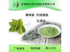 天然产品 源头工厂 金牌厂家 现货包邮  薄荷提取物