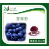 蓝莓粉提取物 源头工厂 实力厂家 益生祥天然品 现货包邮